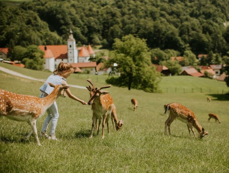 izleti_iz_zagreba